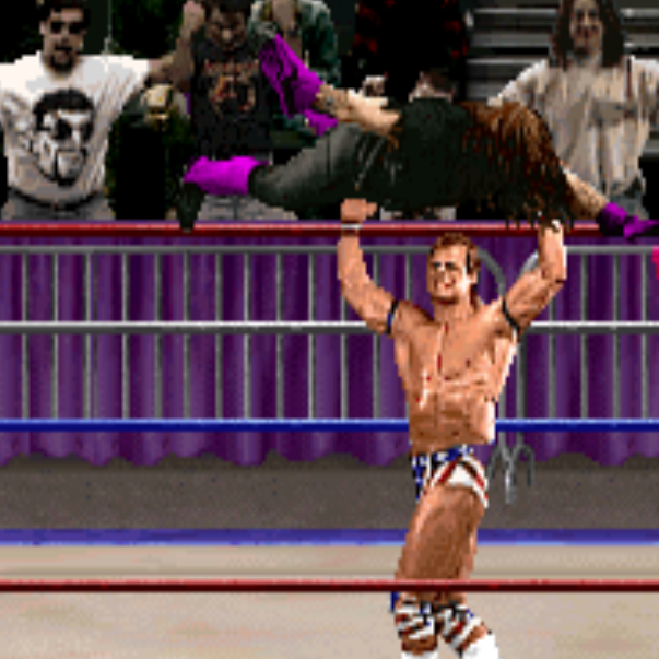 Retro WWF Game Tournament